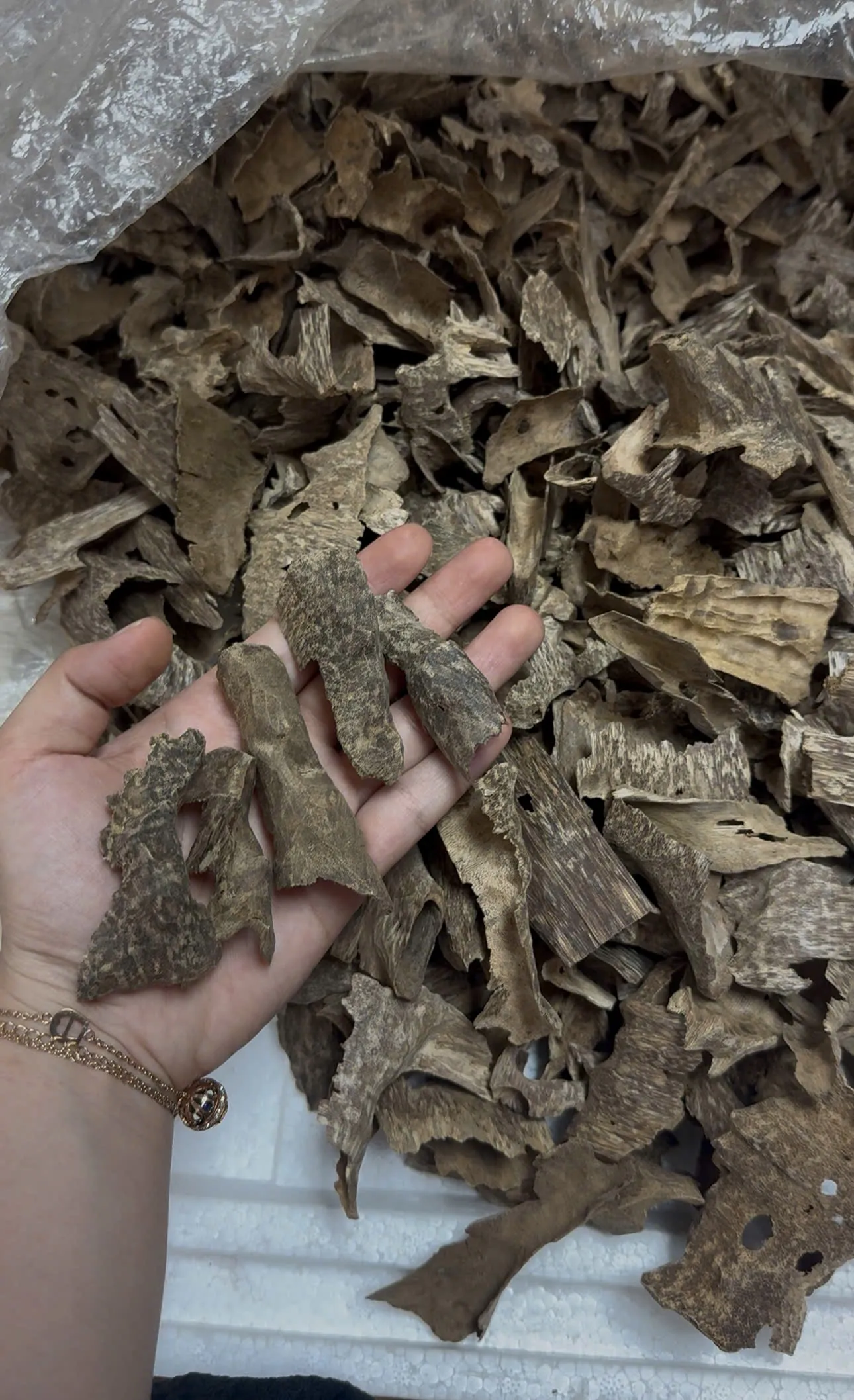 Premium Drilled Oud Pieces – Natural Oud Chips for Burning &amp; Home Fragrance